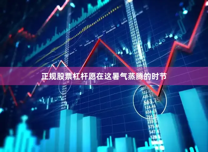 正规股票杠杆愿在这暑气蒸腾的时节